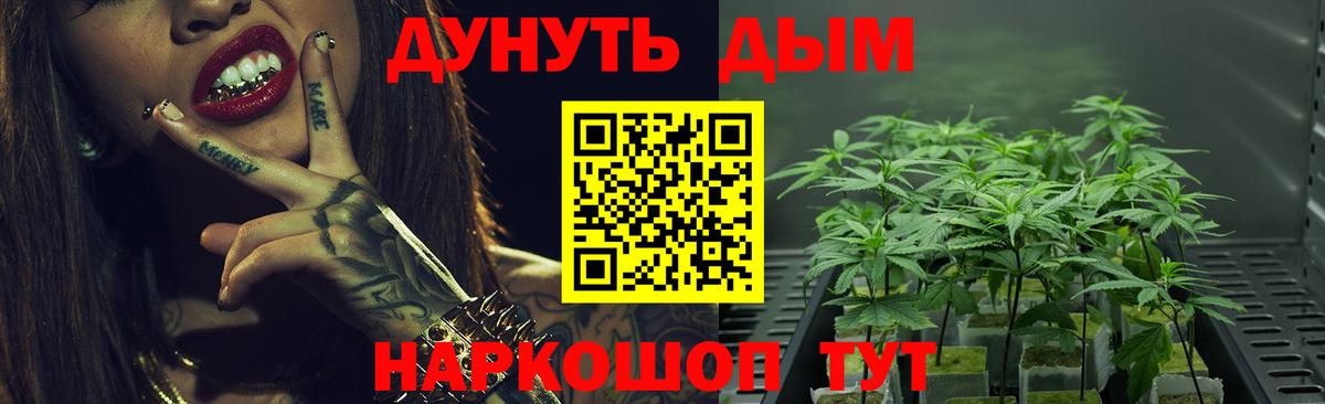 Нурлат  Канабис Bruce Banner  Вход с VPN  МАРИХУАНА тримм  Шишки марихуана планчик 